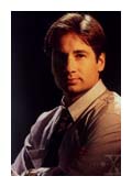 David Duchovny photo 5
