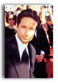 David Duchovny photo 4