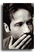 David Duchovny photo 6