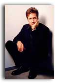 David Duchovny photo 4