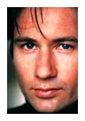 David Duchovny photo 5