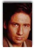 David Duchovny photo 2