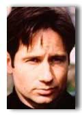 David Duchovny photo 6