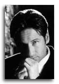 David Duchovny photo 7
