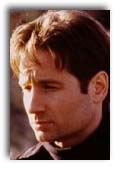 David Duchovny photo 1