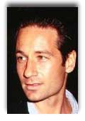 David Duchovny photo 2