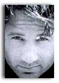 David Duchovny photo 4