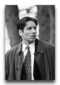 David Duchovny photo 8