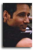 David Duchovny photo 6