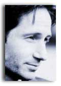 David Duchovny photo 4