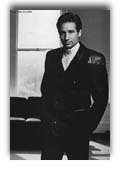 David Duchovny photo 2