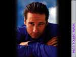 David Duchovny Windows desktop theme icon 4