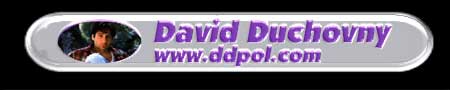 David Duchovny — www.ddpol.com (black background banner)