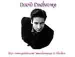 David Duchovny desktop wallpaper, second design