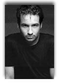 David Duchovny photo 2